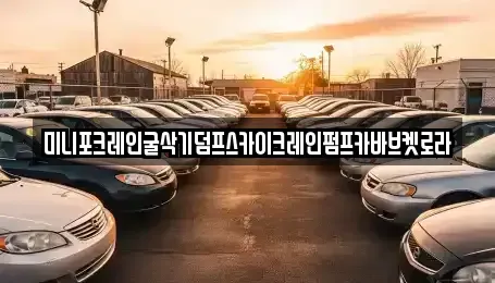 울산광역시 북구 정자동 중고차 전문 미니포크레인굴삭기덤프스카이크레인펌프카바브켓로라