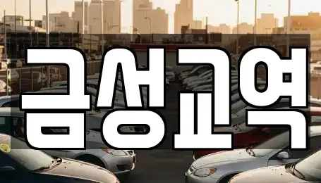 울산광역시 울주군 청량읍 렌트카 전문 금성교역