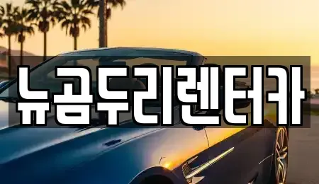 울산광역시 울주군 청량읍 렌트카 전문 뉴곰두리렌터카