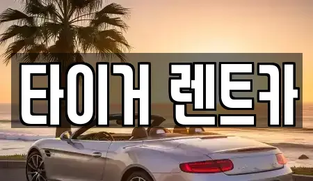 울산광역시 울주군 청량읍 렌트카 전문 타이거 렌트카