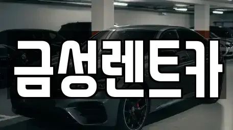 울산광역시 중구 다운동 렌트카 전문 금성렌트카