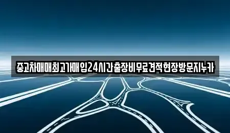 인천 강화군 불은면 중고차매매 전문 중고차매매최고가매입24시간출장비무료견적현장방문지누카