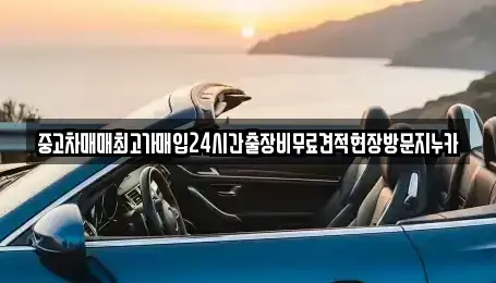 인천 남동구 장수동 중고차 전문 중고차매매최고가매입24시간출장비무료견적현장방문지누카
