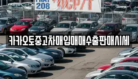 인천 남동구 장수동 중고차매입 전문 카카오토중고차매입매매수출판매시세