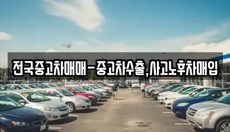 인천 미추홀구 용현동 중고차매매 전문 전국중고차매매-중고차수출,사고노후차매입
