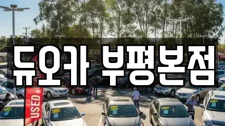 인천 부평구 산곡동 장기렌트카 전문 듀오카 부평본점