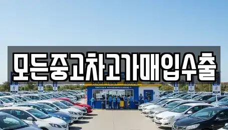 인천 서구 심곡동 중고차매매 전문 모든중고차고가매입수출