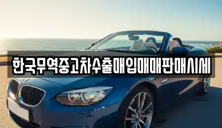 인천 서구 원당동 중고차 전문 한국무역중고차수출매입매매판매시세