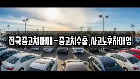인천 옹진군 북도면 중고차매입 전문 전국중고차매매-중고차수출,사고노후차매입