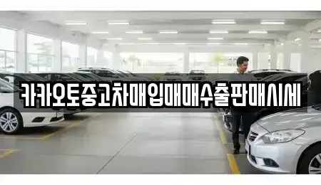 인천 옹진군 영흥면 중고차매매 전문 카카오토중고차매입매매수출판매시세