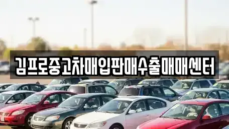 인천 중구 중앙동3가 중고차매입 전문 김프로중고차매입판매수출매매센터
