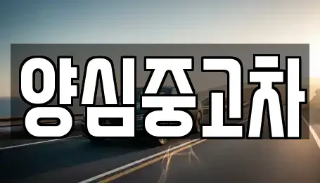 인천광역시 계양구 용종동 중고차 전문 양심중고차
