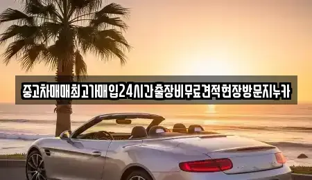 인천광역시 계양구 용종동 중고차 전문 중고차매매최고가매입24시간출장비무료견적현장방문지누카