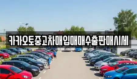 인천광역시 계양구 용종동 중고차 전문 카카오토중고차매입매매수출판매시세