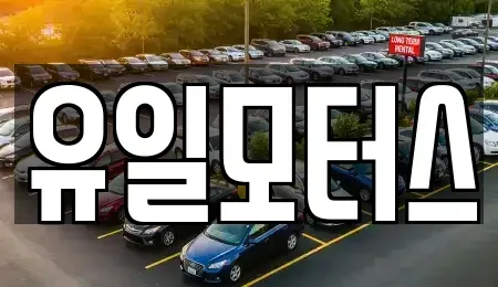 인천광역시 미추홀구 주안동 중고차매매 전문 유일모터스