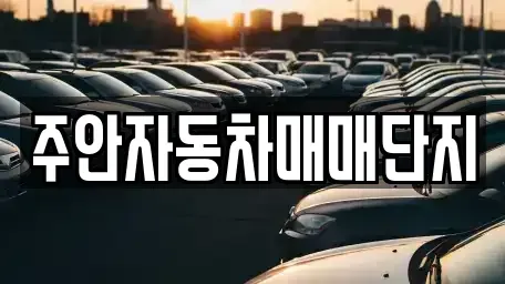 인천광역시 미추홀구 주안동 중고차매매 전문 주안자동차매매단지