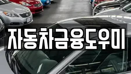 인천광역시 서구 마전동 장기렌트카 전문 자동차금융도우미