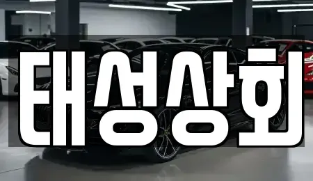 인천광역시 중구 신흥동3가 중고차 전문 태성상회
