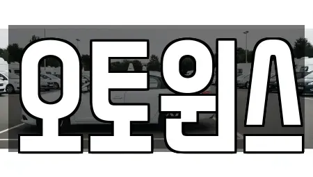 인천광역시 중구 신흥동3가 중고차매매 전문 오토윈스