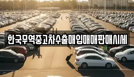 인천광역시 중구 신흥동3가 중고차매매 전문 한국무역중고차수출매입매매판매시세