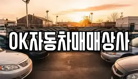 전남 광양시 진상면 중고차매매 전문 OK자동차매매상사