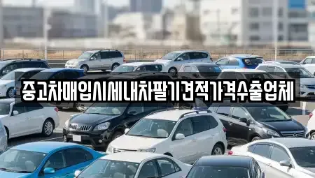 전남 광양시 진상면 중고차매입 전문 중고차매입시세내차팔기견적가격수출업체