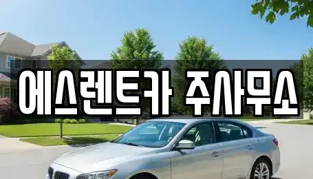 전남 나주시 금천면 렌트카 전문 에스렌트카 주사무소