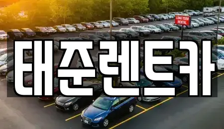 전남 나주시 금천면 렌트카 전문 태준렌트카