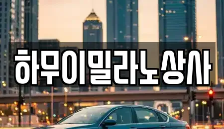 전남 나주시 금천면 중고차 전문 하무이밀라노상사