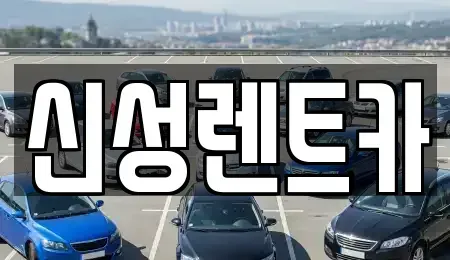 전남 담양군 고서면 렌트카 전문 신성렌트카