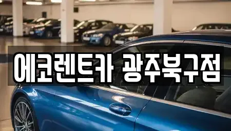 전남 담양군 고서면 렌트카 전문 에코렌트카 광주북구점
