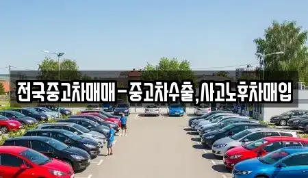 전남 목포시 대안동 중고차매매 전문 전국중고차매매-중고차수출,사고노후차매입