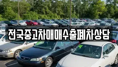 전남 목포시 대안동 중고차매매 전문 전국중고차매매수출폐차상담