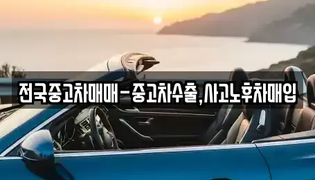 전남 목포시 유동 중고차 전문 전국중고차매매-중고차수출,사고노후차매입