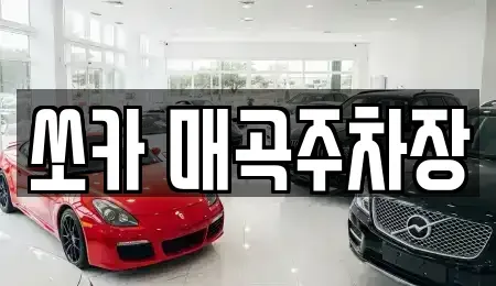 전남 순천시 중앙동 렌트카 전문 쏘카 매곡주차장