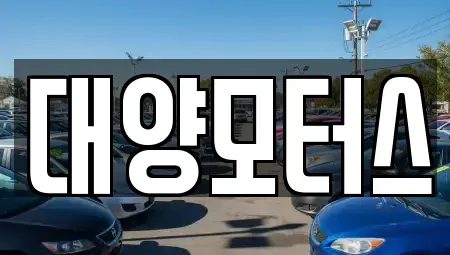 전남 순천시 중앙동 중고차매매 전문 대양모터스