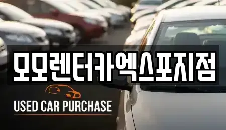 전남 여수시 충무동 렌트카 전문 모모렌터카엑스포지점
