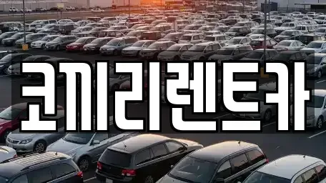 전남 완도군 신지면 렌트카 전문 코끼리렌트카