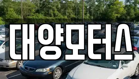 전남 완도군 신지면 중고차 전문 대양모터스