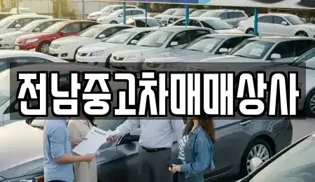 전남 완도군 신지면 중고차 전문 전남중고차매매상사