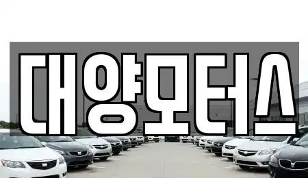 전남 장흥군 관산읍 중고차,렌트카,중고차매입,중고차매매,장기렌트카,단기렌트카