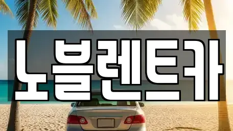 전남 함평군 엄다면 렌트카 전문 노블렌트카