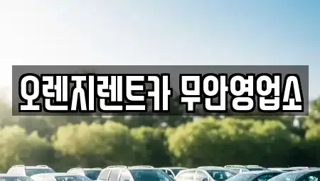 전남 함평군 엄다면 렌트카 전문 오렌지렌트카 무안영업소