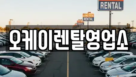 전남 함평군 엄다면 렌트카,단기렌트카,장기렌트카,중고차,중고차매매,중고차매입