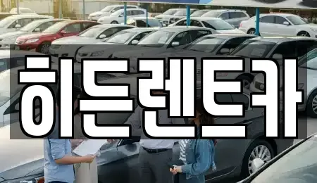 전남 함평군 엄다면 렌트카 전문 히든렌트카