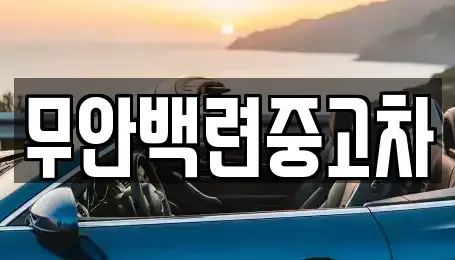 전남 함평군 엄다면 중고차 전문 무안백련중고차