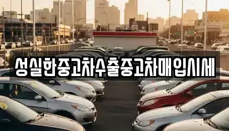 전남 함평군 엄다면 중고차 전문 성실한중고차수출중고차매입시세