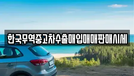 전남 화순군 능주면 중고차매입 전문 한국무역중고차수출매입매매판매시세