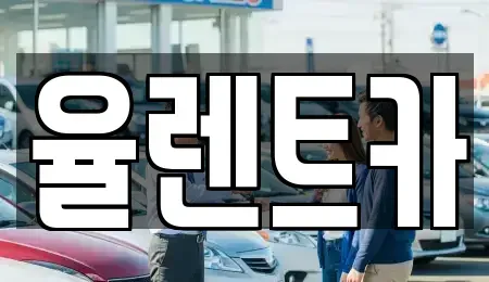 전남 화순군 동면 렌트카 전문 율렌트카