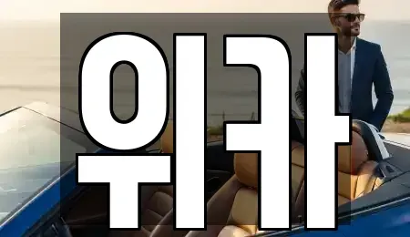 전남 화순군 동면 장기렌트카 전문 위카